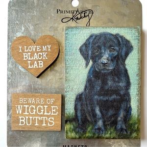 BLACK LAB Memo Magnet Set LABRADOR Artwork Home Office Puppy Dog Lovers Gifts
